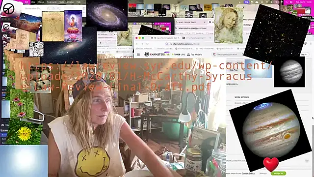 jpsunflower webcam