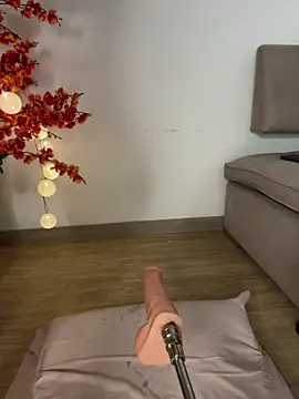 VictoriaHiill webcam