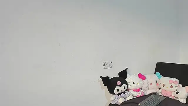 Eirlysx webcam