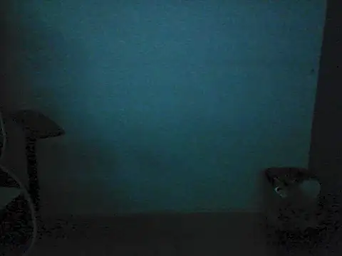 Kalel17073 webcam