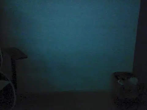 Kalel17073 webcam