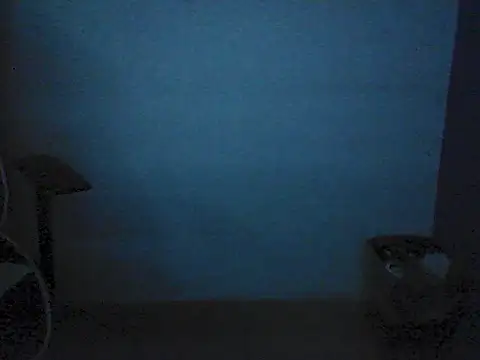Kalel17073 webcam