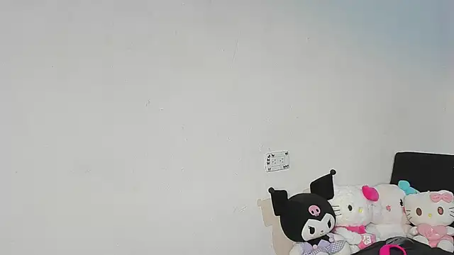 Eirlysx webcam