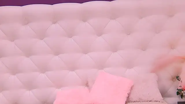 RheaSky webcam