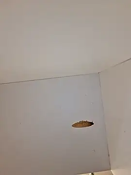 Romeo2235 webcam