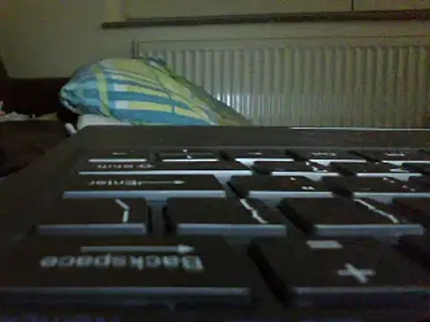 FROL83 webcam