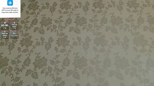 MartinBrandon webcam