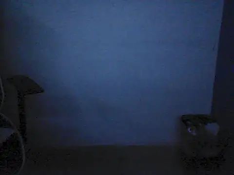 Kalel17073 webcam