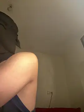 arabayla webcam