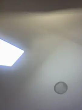 Nicolle_foxy live sex cam