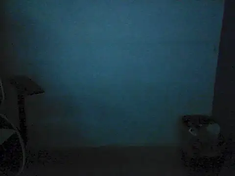 Kalel17073 webcam