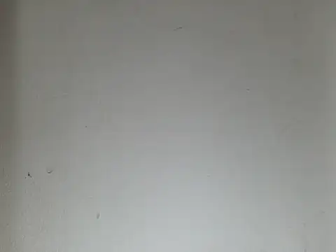 Smoors19 webcam