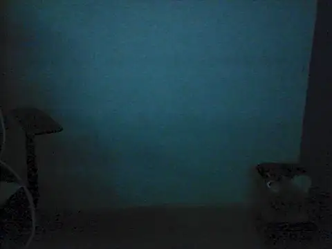 Kalel17073 webcam