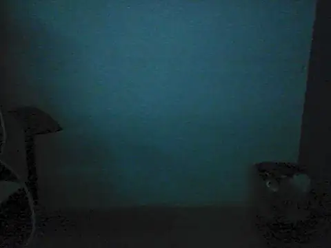 Kalel17073 webcam