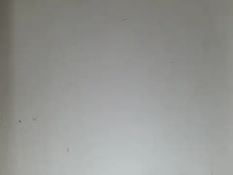 Smoors19 webcam