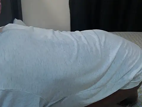 Gweneve webcam