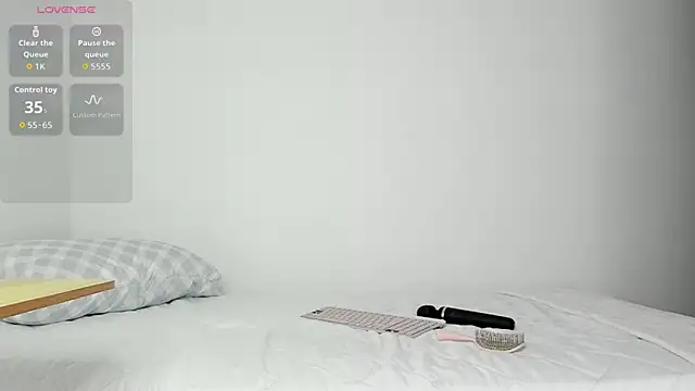 WowAna webcam