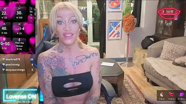 shytrans_uk webcam