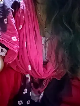 PARI51 webcam