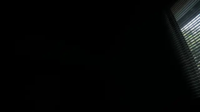 Aly_zc webcam