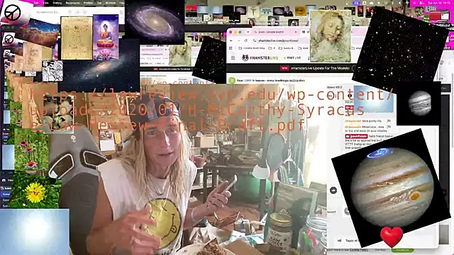 jpsunflower webcam
