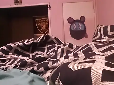 Blkstylion webcam