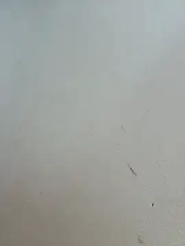 -Bitilu- webcam