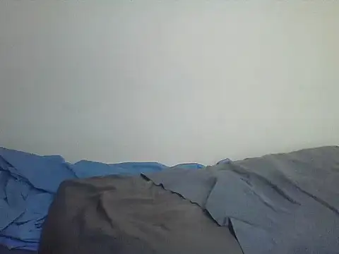skylerviky webcam