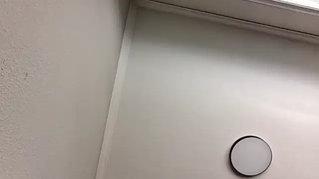 Blzsugar webcam