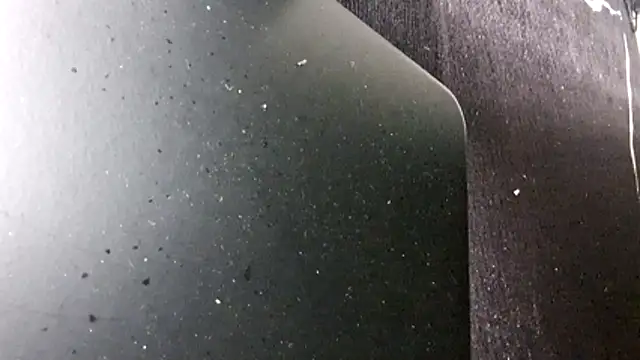 Blzsugar webcam