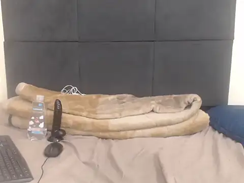 CronicaDass webcam
