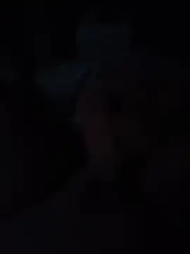 bertvanboere