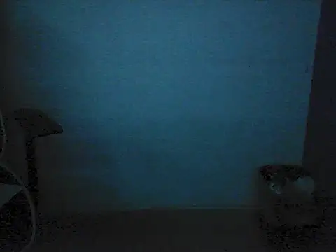 Kalel17073 webcam