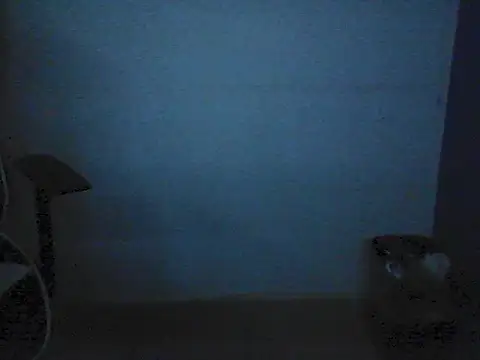 Kalel17073 webcam