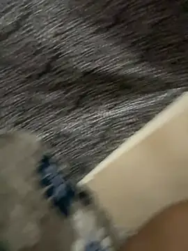 torchermachine live sex cam