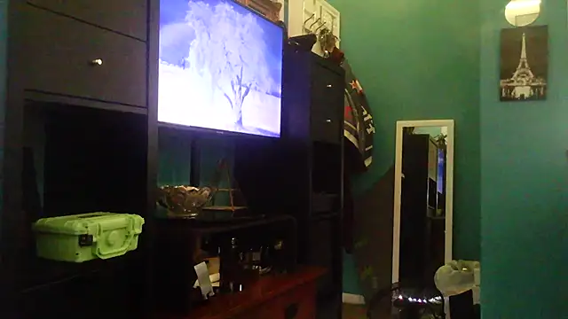 TheGAPEgatsby92 webcam