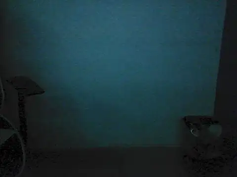 Kalel17073 webcam