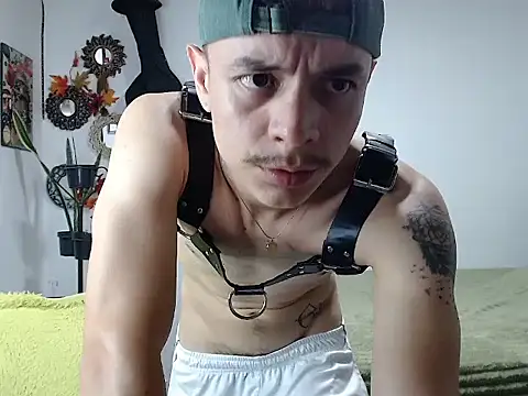 PaleVibes webcam
