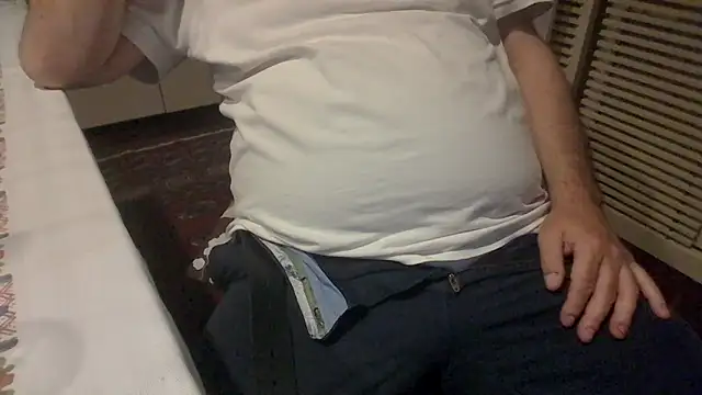 polloiw webcam