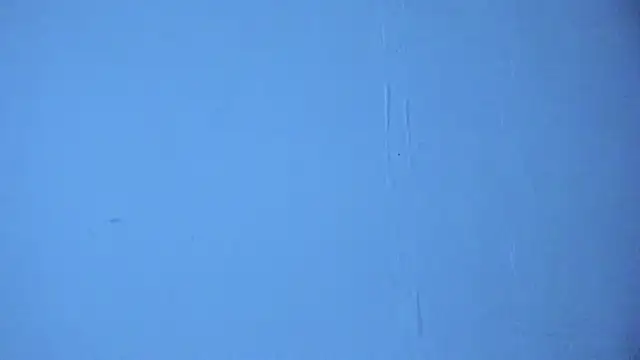 ale_cam webcam