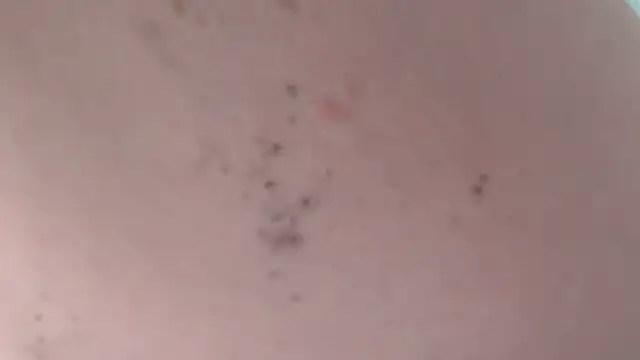 LaraLanee webcam