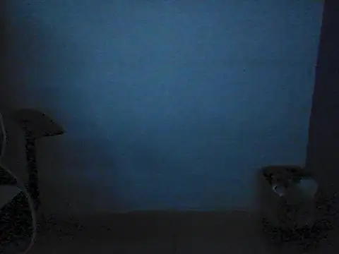 Kalel17073 webcam