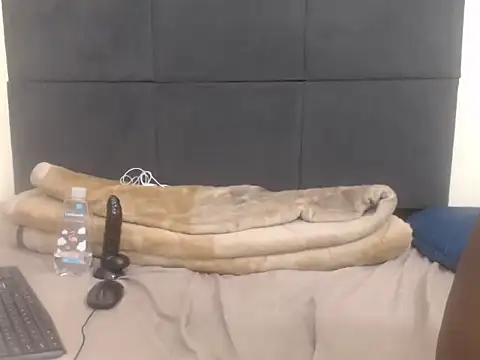 CronicaDass webcam
