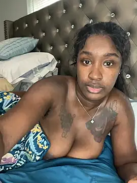 ToyaThick webcam
