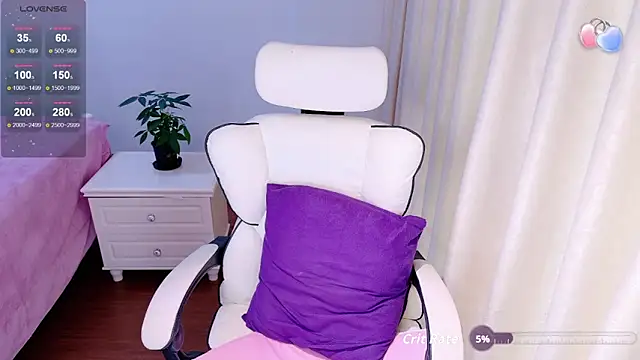 Sunny-cc webcam