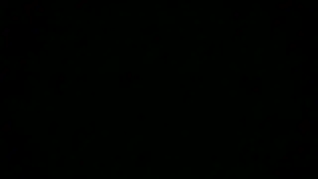 SamuelTal webcam