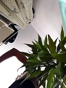 Alexxasexy webcam