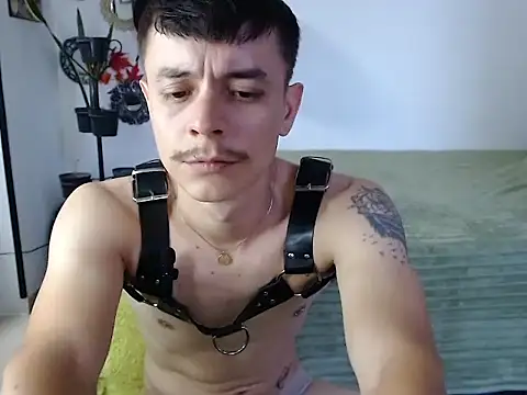 PaleVibes webcam