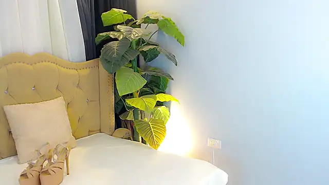 LexiLoreOnTop webcam