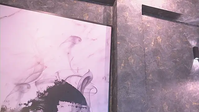 Susan_wall webcam